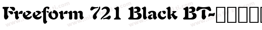 Freeform 721 Black BT字体转换